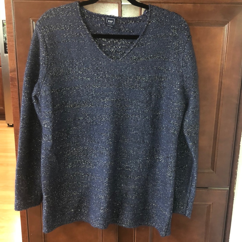 Gap V-Neck Blue & Silver Sweater